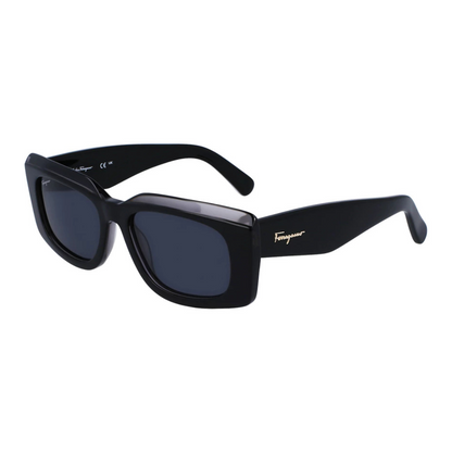 Salvatore Ferragamo Sunglasses | Model SF1079/S